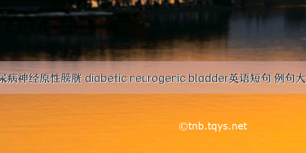 糖尿病神经原性膀胱 diabetic neurogenic bladder英语短句 例句大全