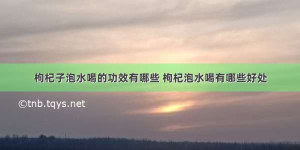 枸杞子泡水喝的功效有哪些 枸杞泡水喝有哪些好处