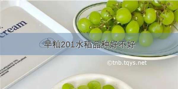 早籼201水稻品种好不好