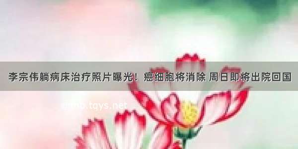 李宗伟躺病床治疗照片曝光！癌细胞将消除 周日即将出院回国