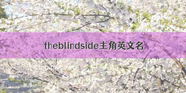 theblindside主角英文名