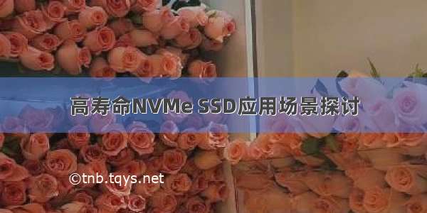 高寿命NVMe SSD应用场景探讨