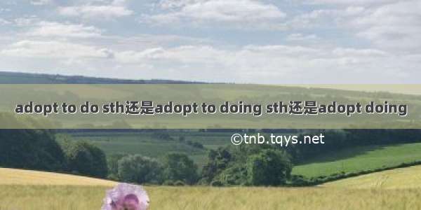 adopt to do sth还是adopt to doing sth还是adopt doing