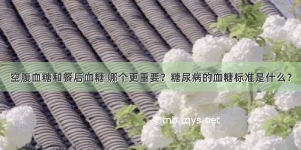 空腹血糖和餐后血糖 哪个更重要？糖尿病的血糖标准是什么？