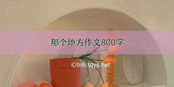 那个地方作文800字