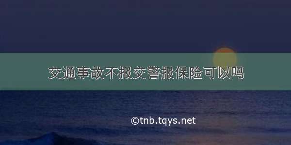 交通事故不报交警报保险可以吗