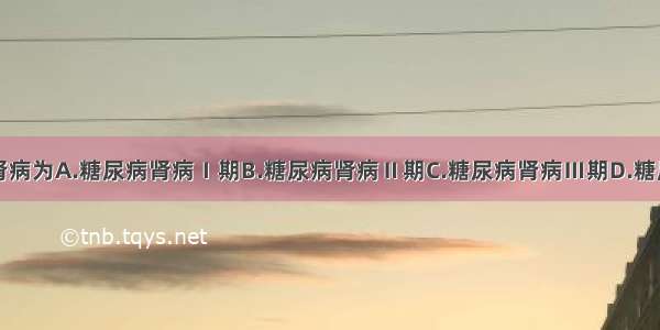 临床糖尿病肾病为A.糖尿病肾病Ⅰ期B.糖尿病肾病Ⅱ期C.糖尿病肾病Ⅲ期D.糖尿病肾病Ⅳ期