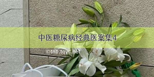 中医糖尿病经典医案集4