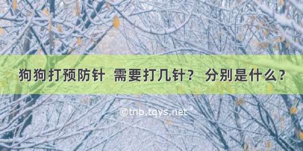 狗狗打预防针  需要打几针？ 分别是什么？