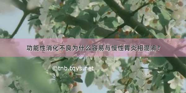 功能性消化不良为什么容易与慢性胃炎相混淆？