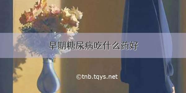 早期糖尿病吃什么药好