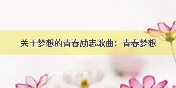 关于梦想的青春励志歌曲：青春梦想