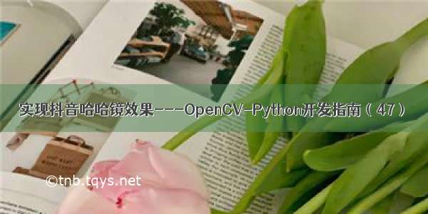 实现抖音哈哈镜效果---OpenCV-Python开发指南（47）