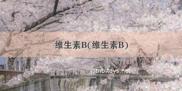 维生素B(维生素B)