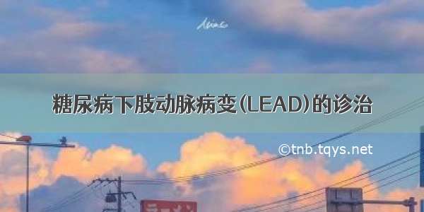 糖尿病下肢动脉病变(LEAD)的诊治