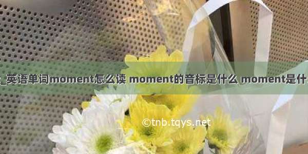 moments音标_英语单词moment怎么读 moment的音标是什么 moment是什么意思 - 音标网