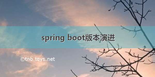 spring boot版本演进