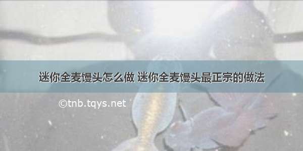 迷你全麦馒头怎么做 迷你全麦馒头最正宗的做法