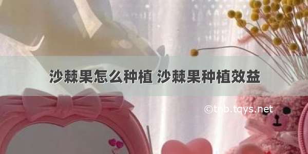 沙棘果怎么种植 沙棘果种植效益