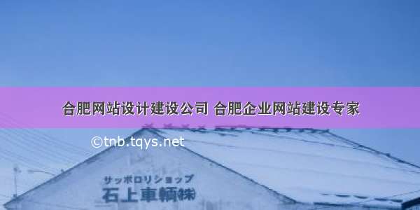 合肥网站设计建设公司 合肥企业网站建设专家