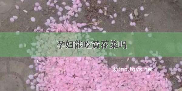 孕妇能吃黄花菜吗