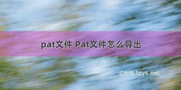 pat文件 Pat文件怎么导出