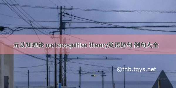 元认知理论 metacognitive theory英语短句 例句大全