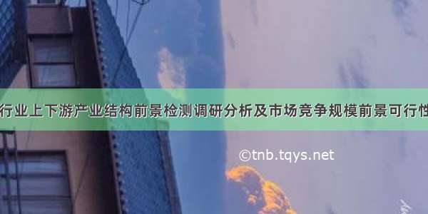 锌锰电池行业上下游产业结构前景检测调研分析及市场竞争规模前景可行性研究预测