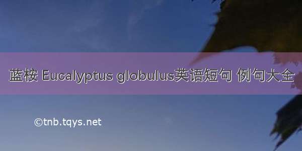 蓝桉 Eucalyptus globulus英语短句 例句大全