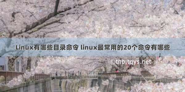 Linux有哪些目录命令 linux最常用的20个命令有哪些