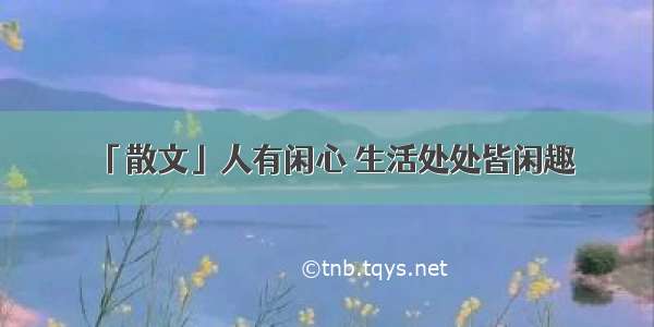 「散文」人有闲心 生活处处皆闲趣