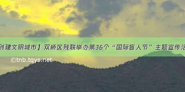 【创建文明城市】双桥区残联举办第36个“国际盲人节”主题宣传活动。