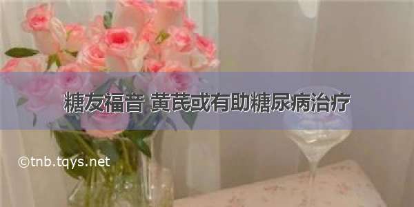 糖友福音 黄芪或有助糖尿病治疗