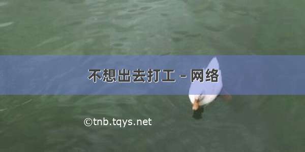 不想出去打工 – 网络