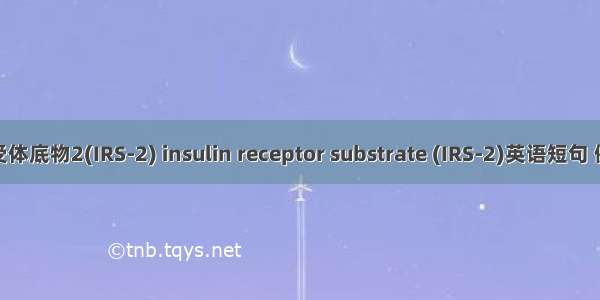 胰岛素受体底物2(IRS-2) insulin receptor substrate (IRS-2)英语短句 例句大全