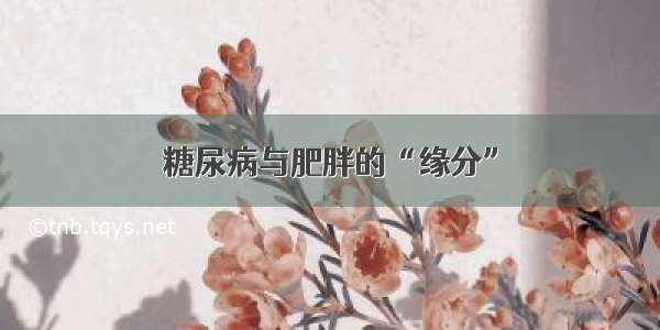 糖尿病与肥胖的“缘分”