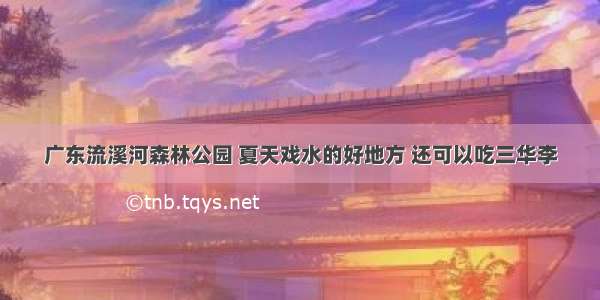 广东流溪河森林公园 夏天戏水的好地方 还可以吃三华李