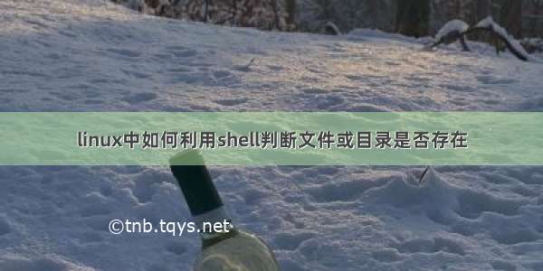 linux中如何利用shell判断文件或目录是否存在