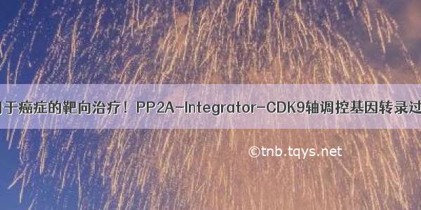 可用于癌症的靶向治疗！PP2A-Integrator-CDK9轴调控基因转录过程