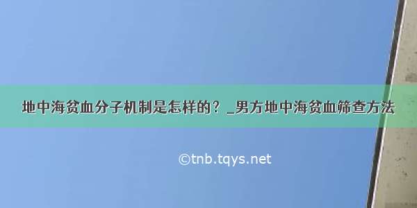 地中海贫血分子机制是怎样的？_男方地中海贫血筛查方法