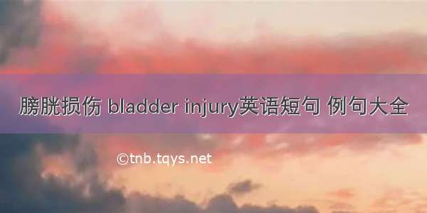 膀胱损伤 bladder injury英语短句 例句大全