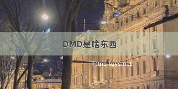 DMD是啥东西