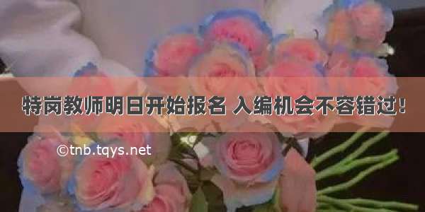 特岗教师明日开始报名 入编机会不容错过！