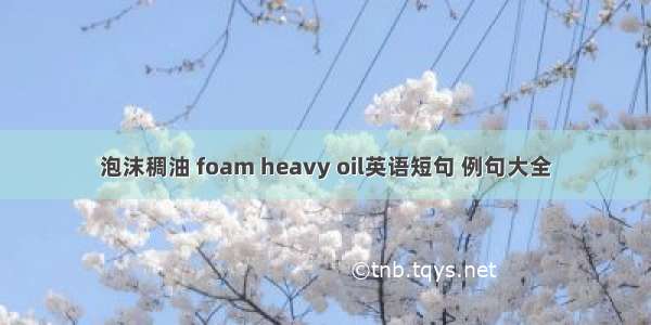 泡沫稠油 foam heavy oil英语短句 例句大全