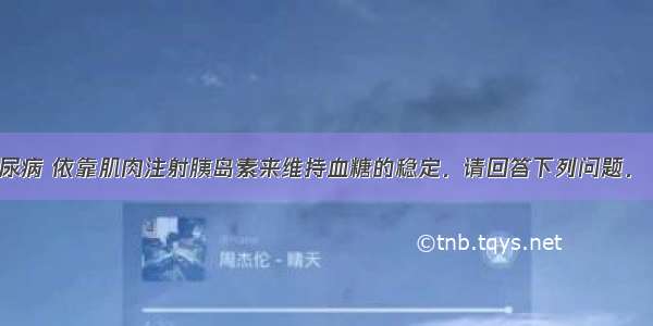 张某患了糖尿病 依靠肌肉注射胰岛素来维持血糖的稳定．请回答下列问题．（1）张某进