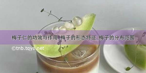 梅子仁的功效与作用_梅子的形态特征_梅子的分布范围