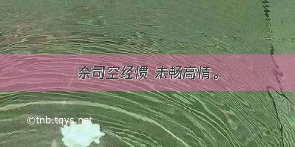 奈司空经惯 未畅高情。