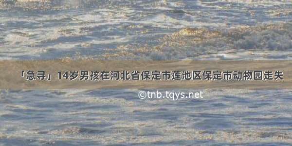 「急寻」14岁男孩在河北省保定市莲池区保定市动物园走失