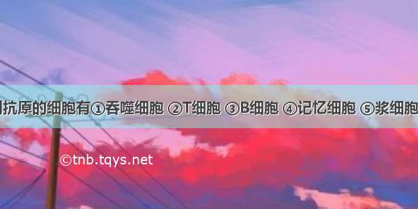 能够识别抗原的细胞有①吞噬细胞 ②T细胞 ③B细胞 ④记忆细胞 ⑤浆细胞 ⑥效应T