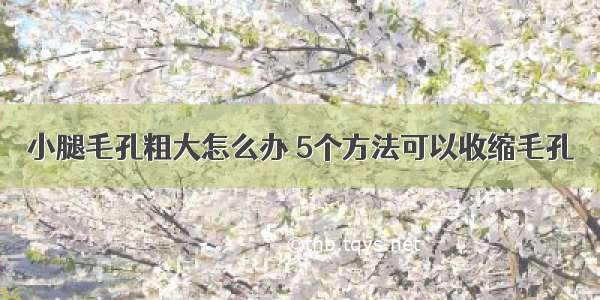 小腿毛孔粗大怎么办 5个方法可以收缩毛孔